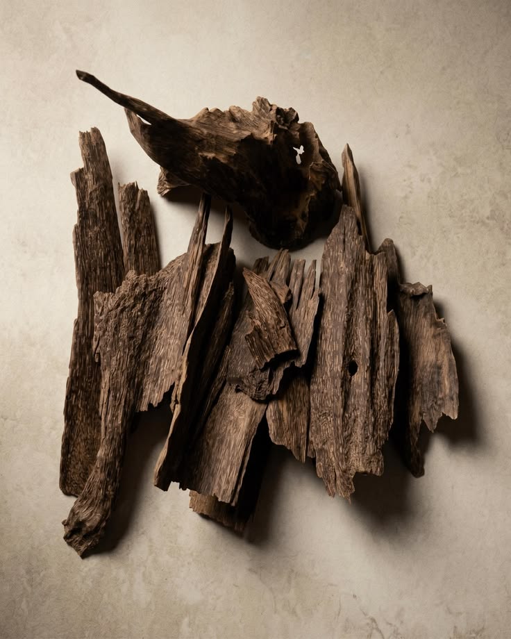 Agarwood